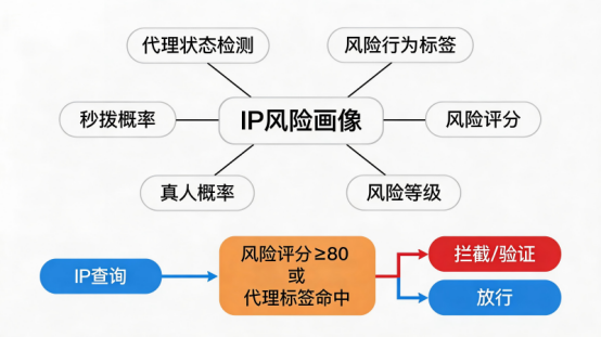 IP风险画像数据维度与决策流程
