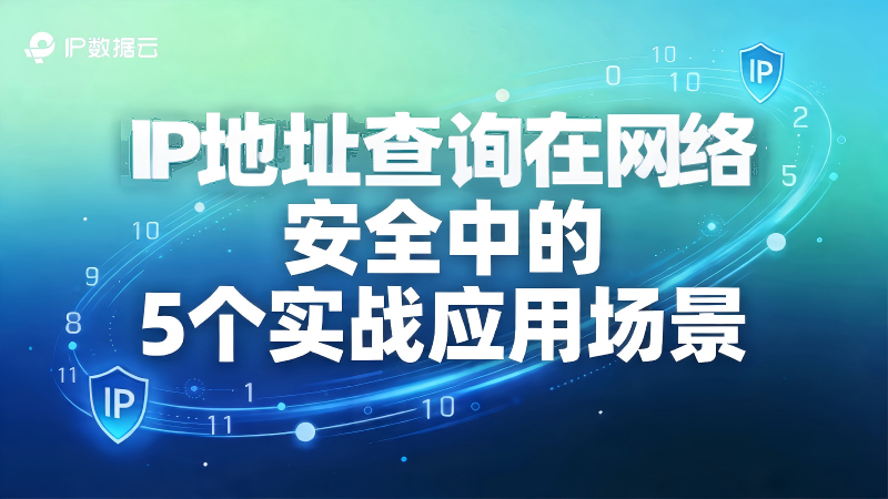 IP数据云IP地址查询服务在网络安全领域的5个实战应用场景分享